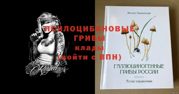 jwh Дмитриев