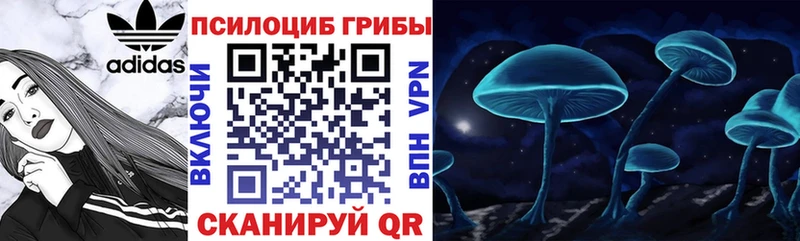 Псилоцибиновые грибы Psilocybine cubensis  Серпухов 